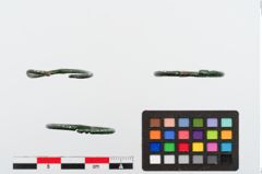 Foto von Bronzering (NHMW-PRAE-024320)